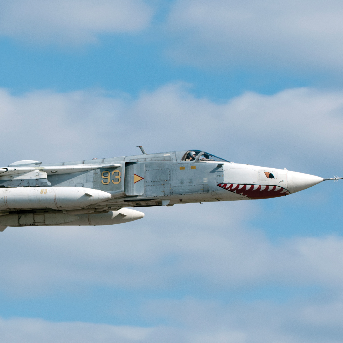 Плакат Су-24МР - Зображення 3