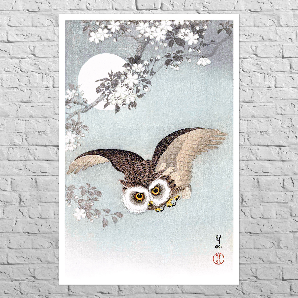 Poster Scops Owl