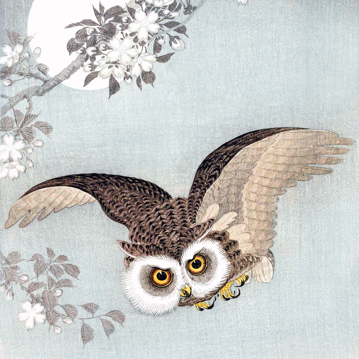 Poster Scops Owl, Cherry Blossoms and Full Moon, 1926 - Image 3